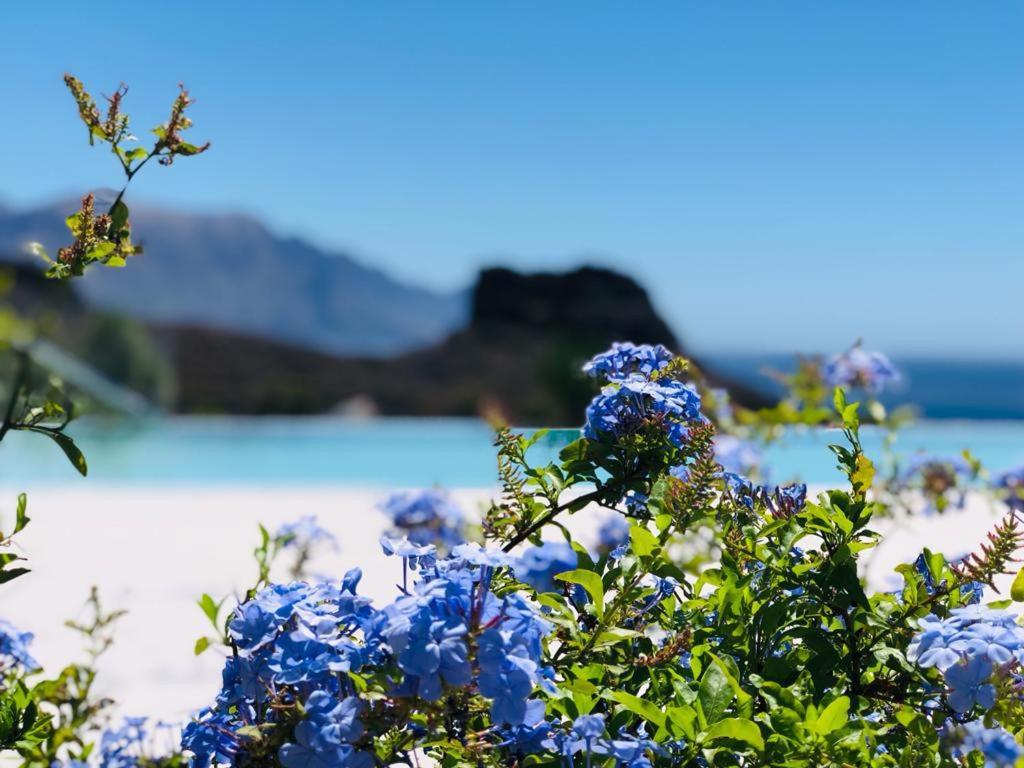 Paraisos De Agaete Puerto de las Nieves 外观 照片